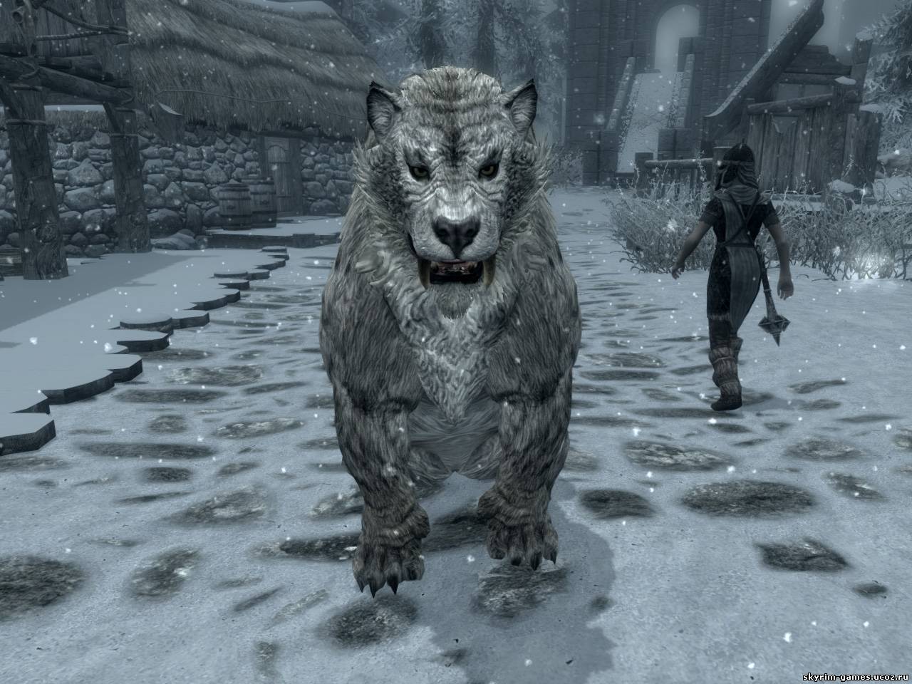 Саблезуб снег скайрим. Саблезуб снег. Снежный барс скайрим. Саблезуб снег скайрим. Саблезуб скайрим.